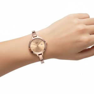 Titan Neo IV Gold Watch